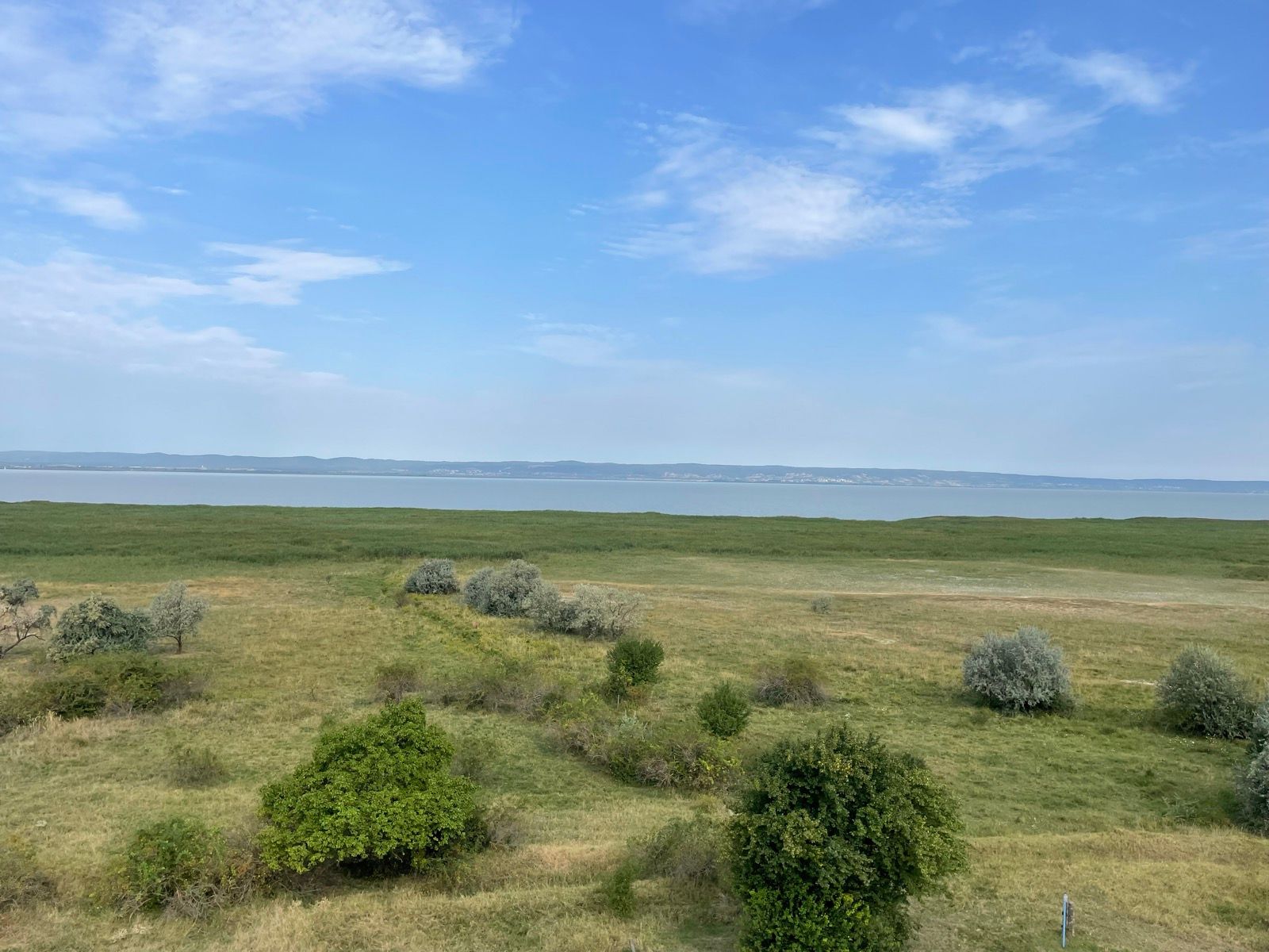 Príroda pri Neusiedlersee