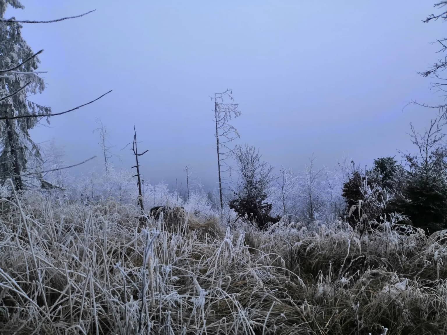 Zimná cesta na Lieskovú