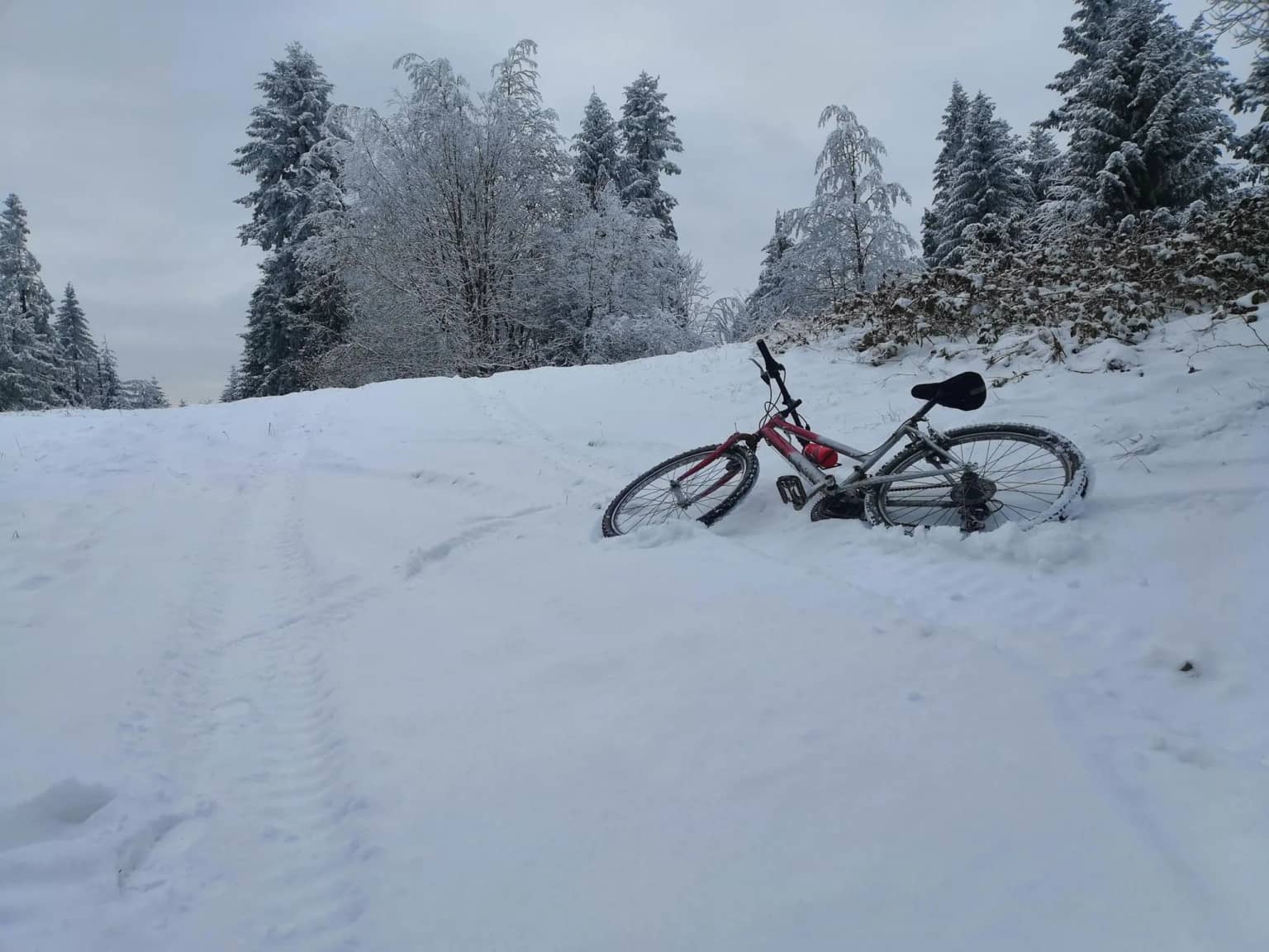 Zimná cesta na Beskydok