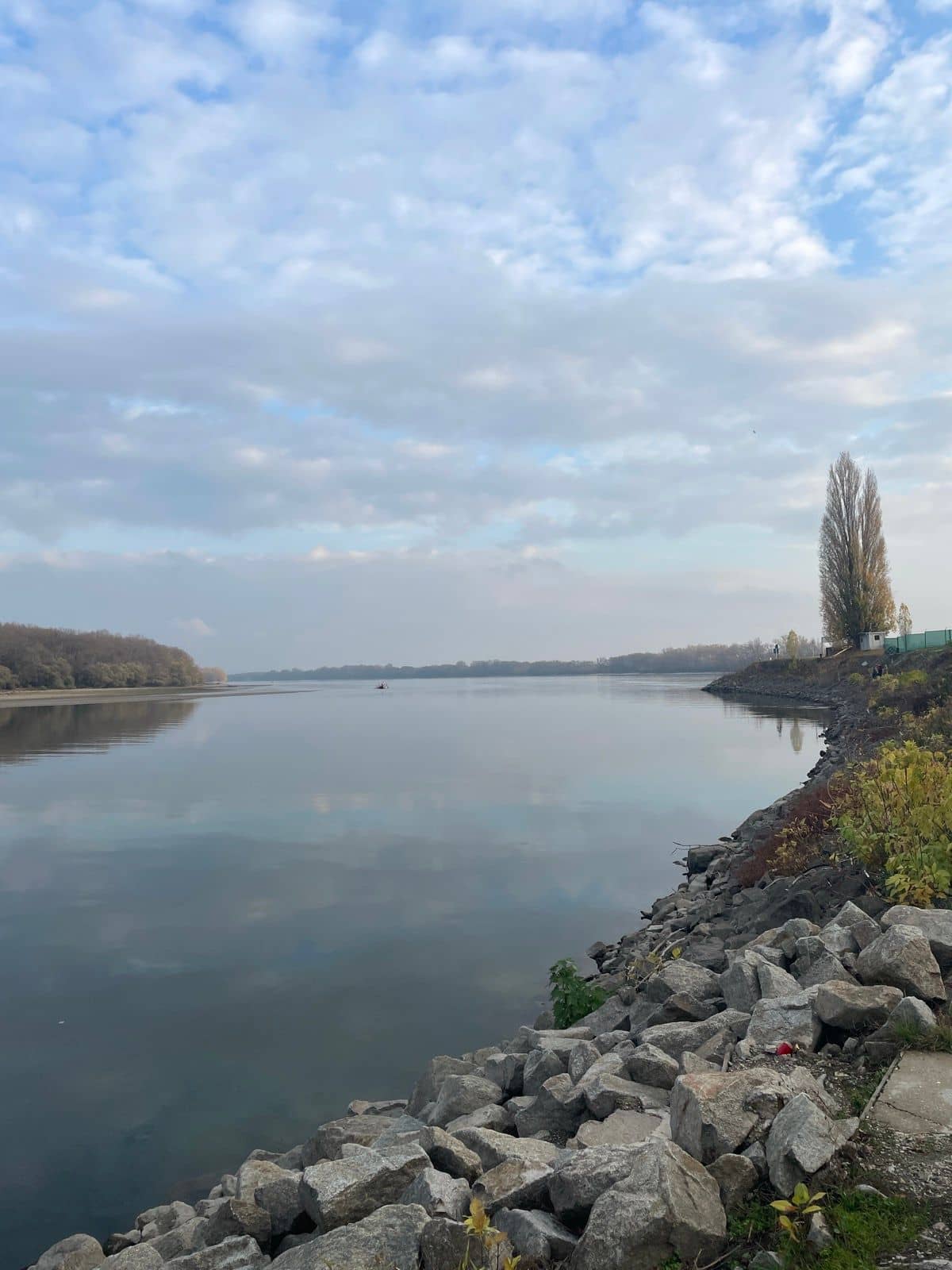 Komárňanský špic