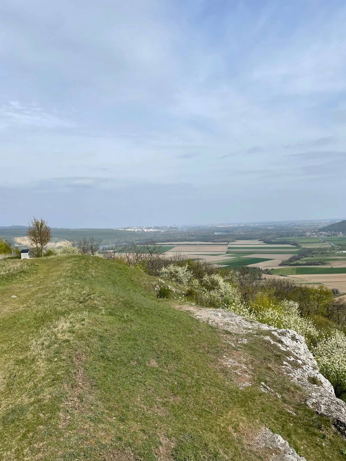 Výhľad z Braunsbergu