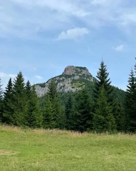 Výhľad na Malý Rozsutec