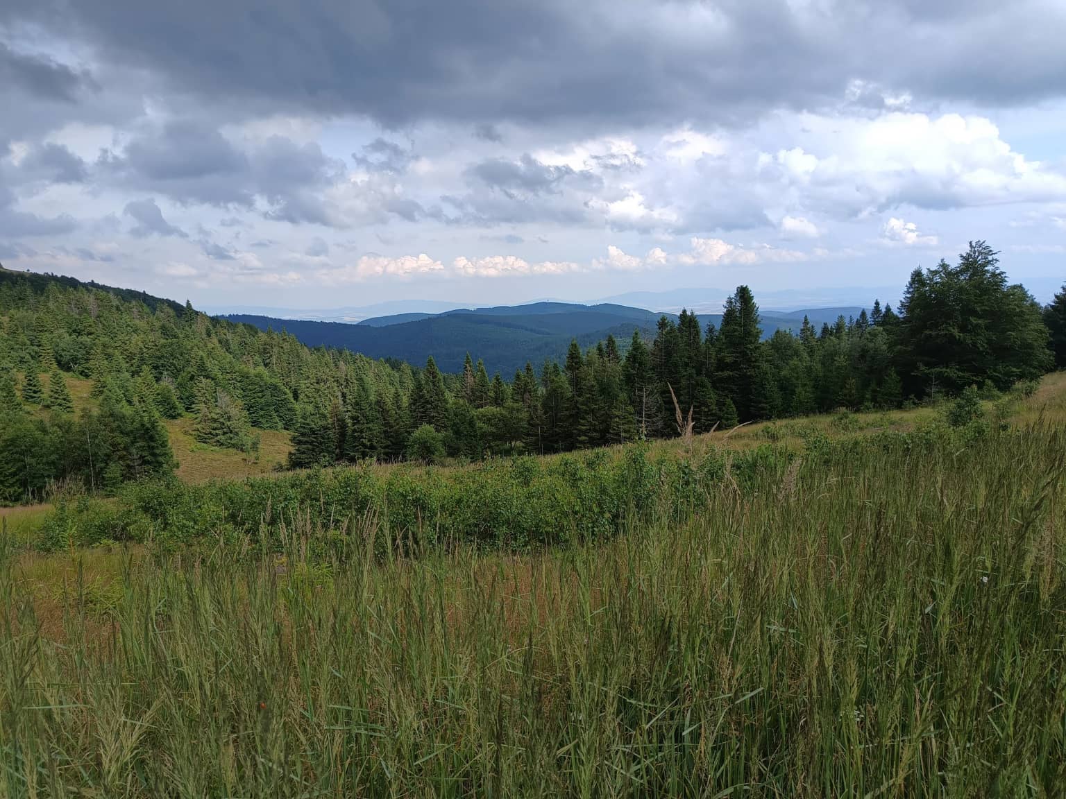 Výhľad