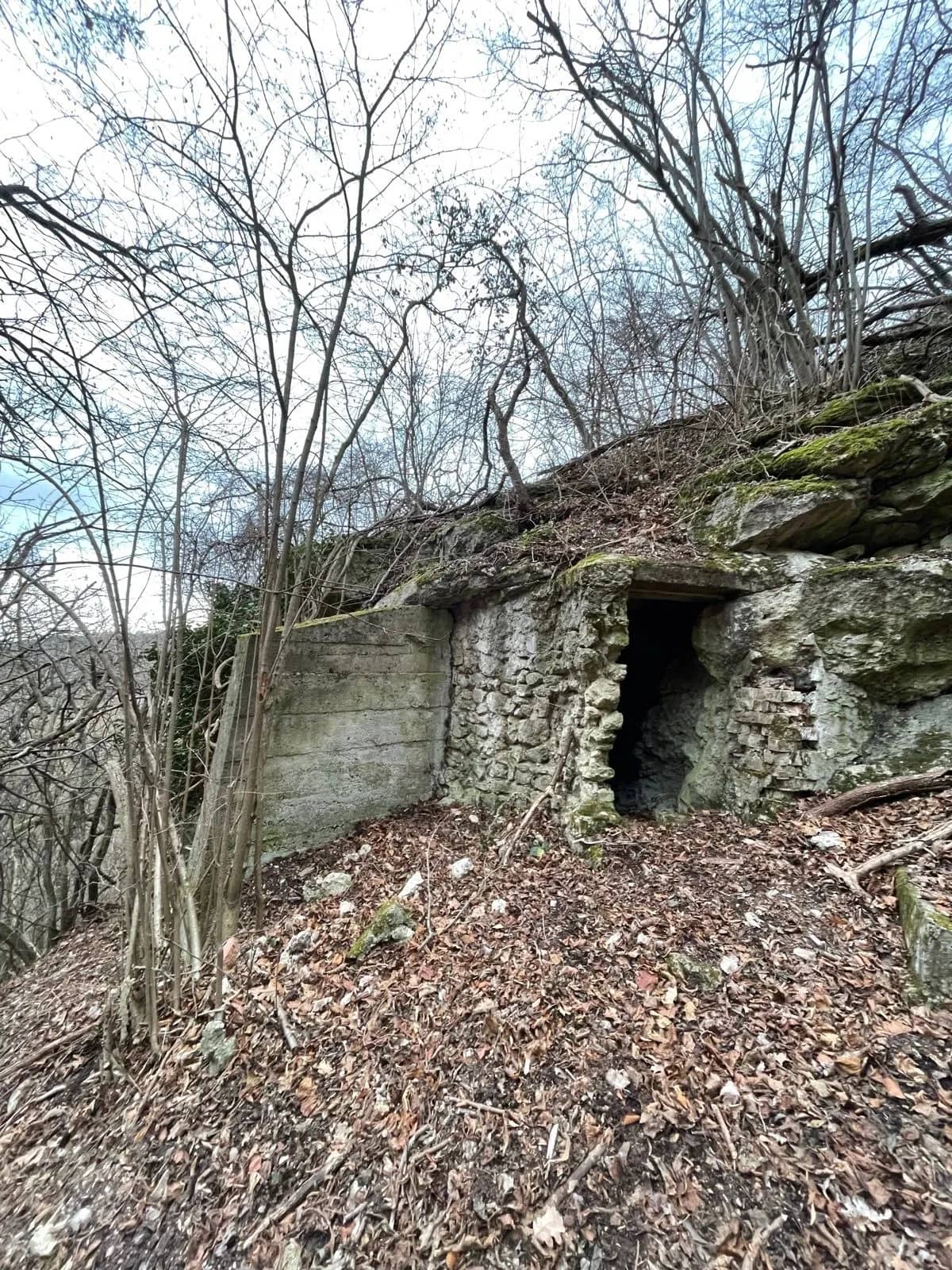 Bunker v lese