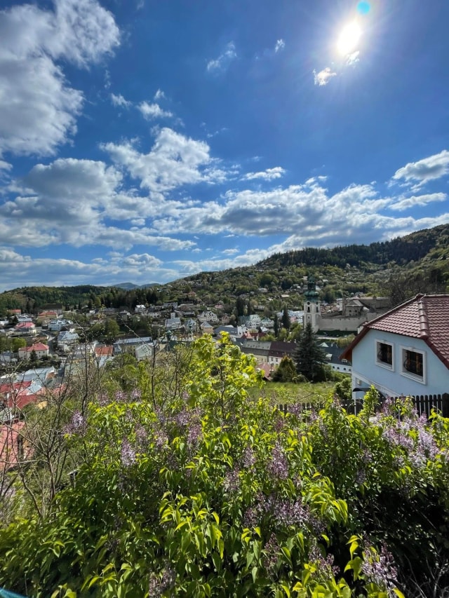 8-vyhlad