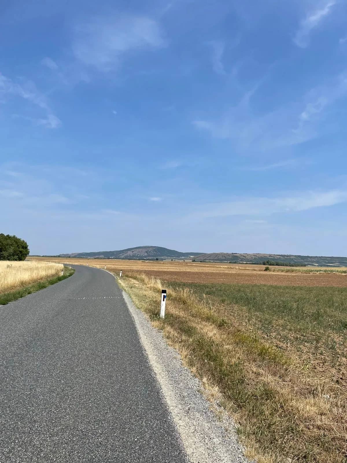 Hundsheimer Berg