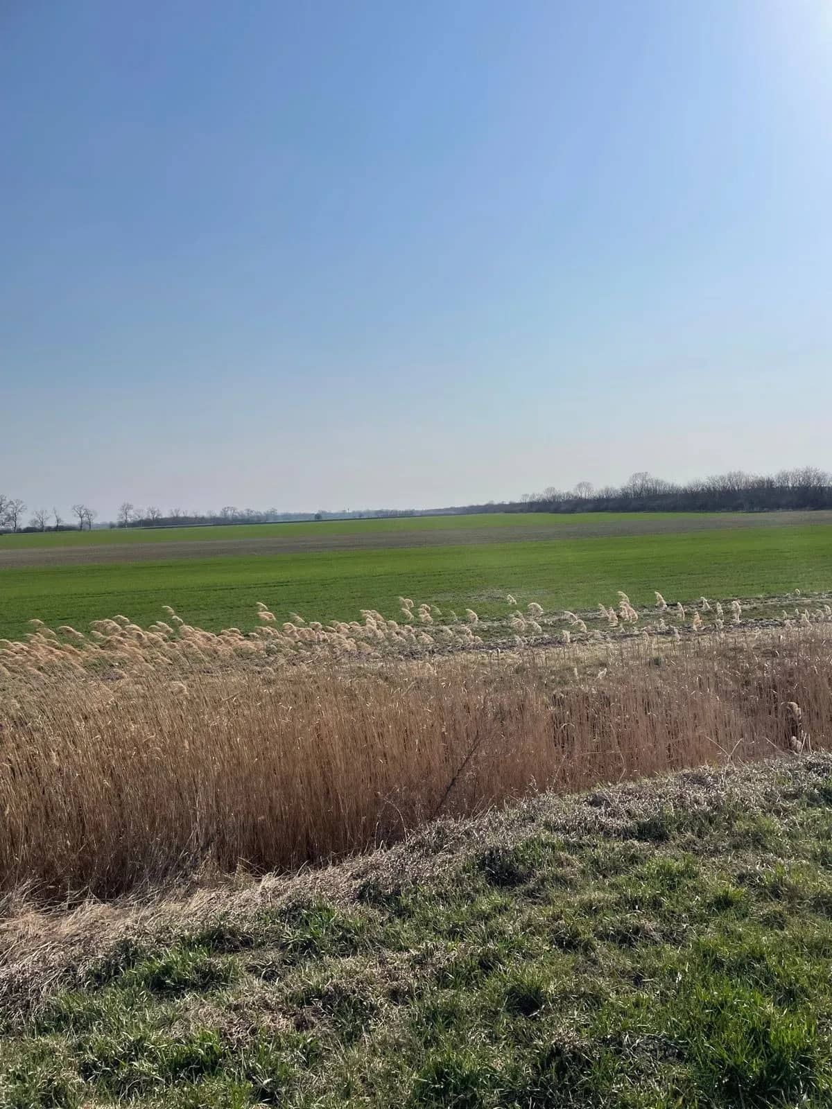 Rovinatá cyklotrasa medzi poľami