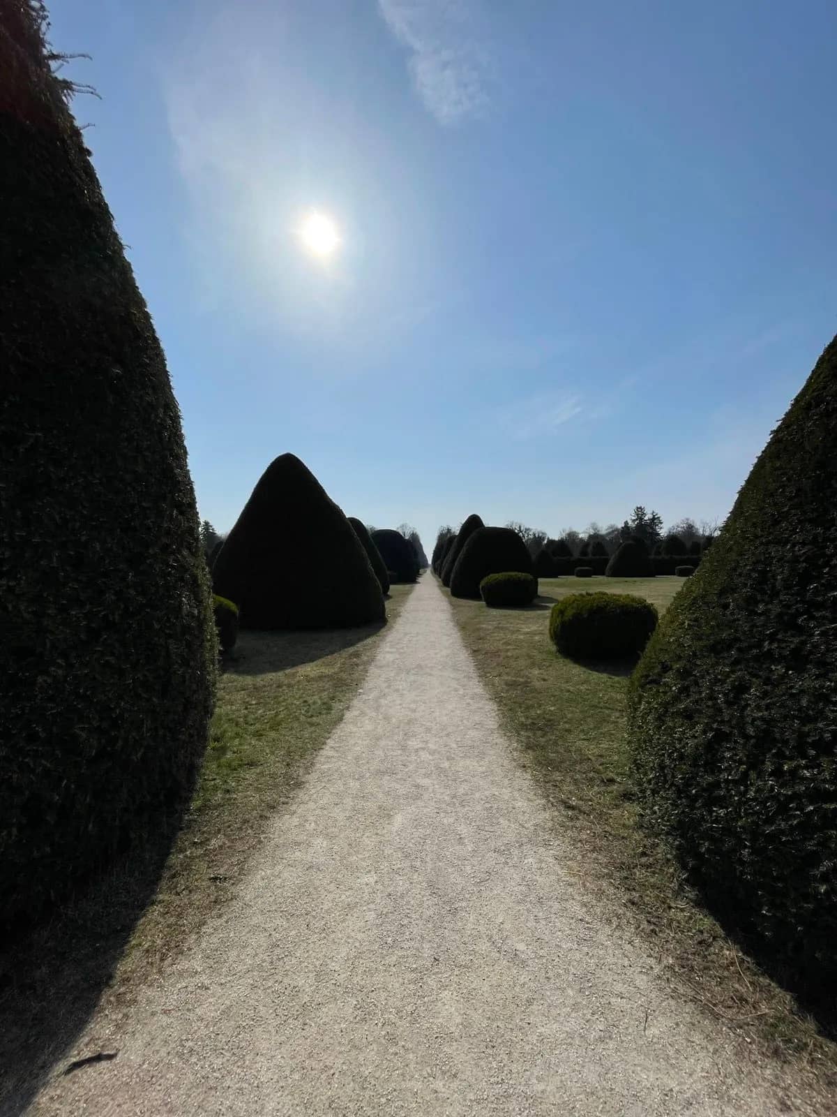 Záhrady za zámkom Esterházy