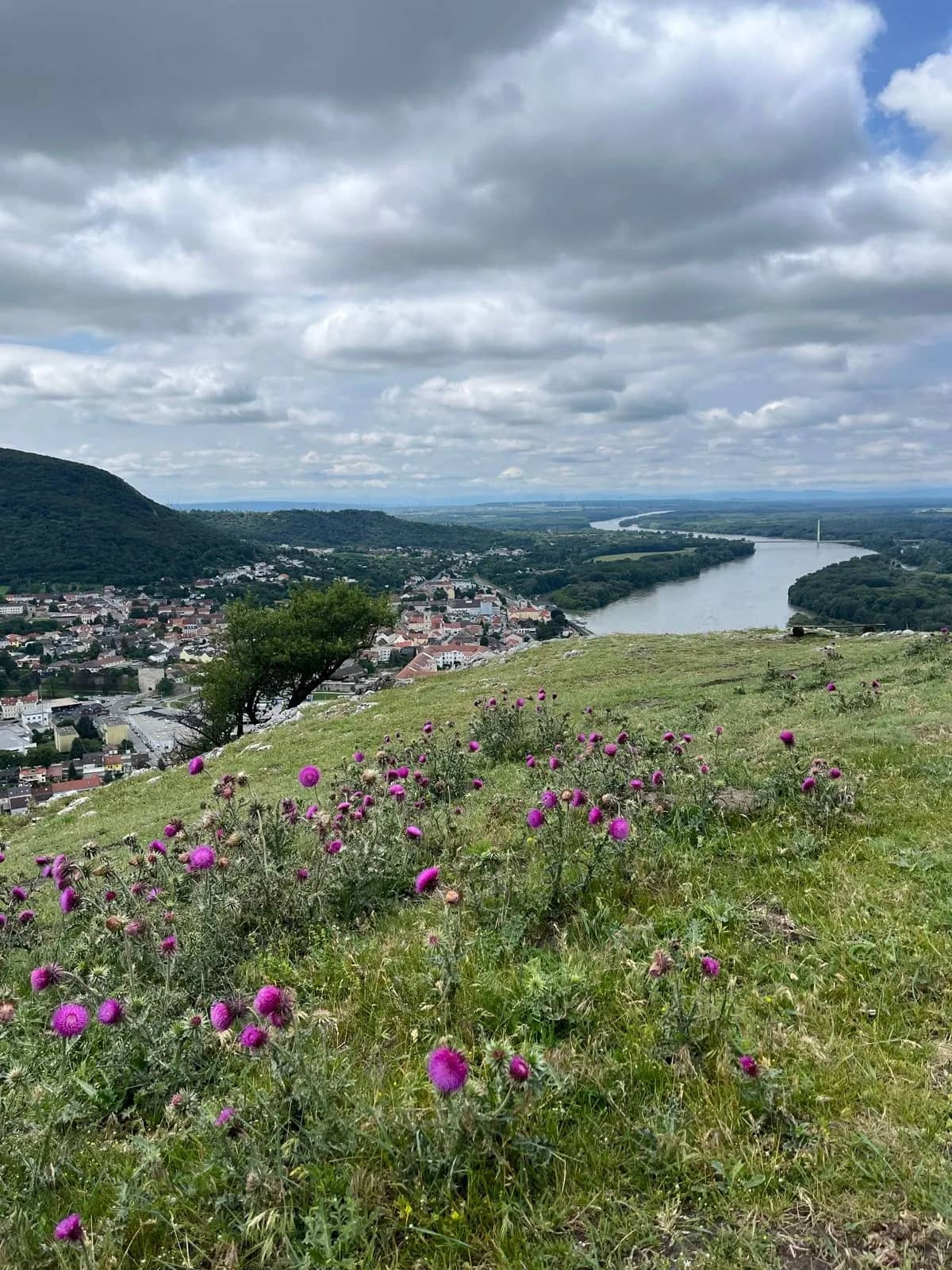 Výhľad z Braunsbergu