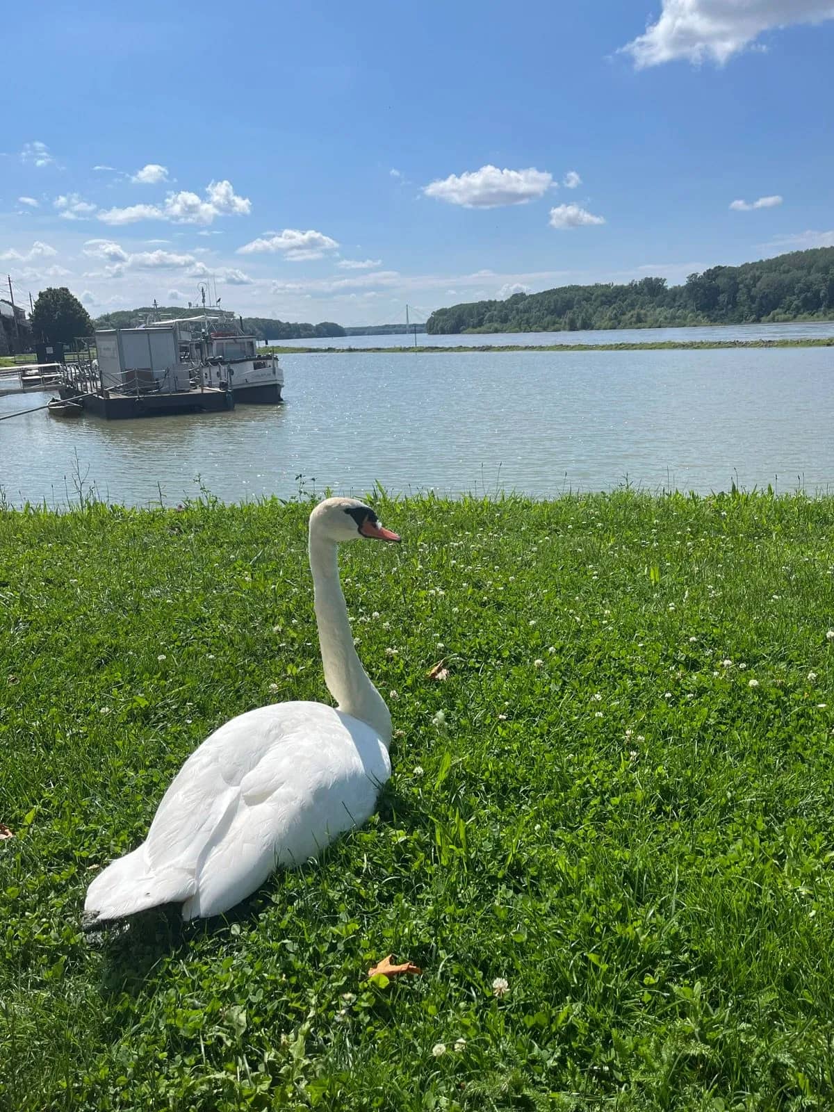 Dunajská promenáda