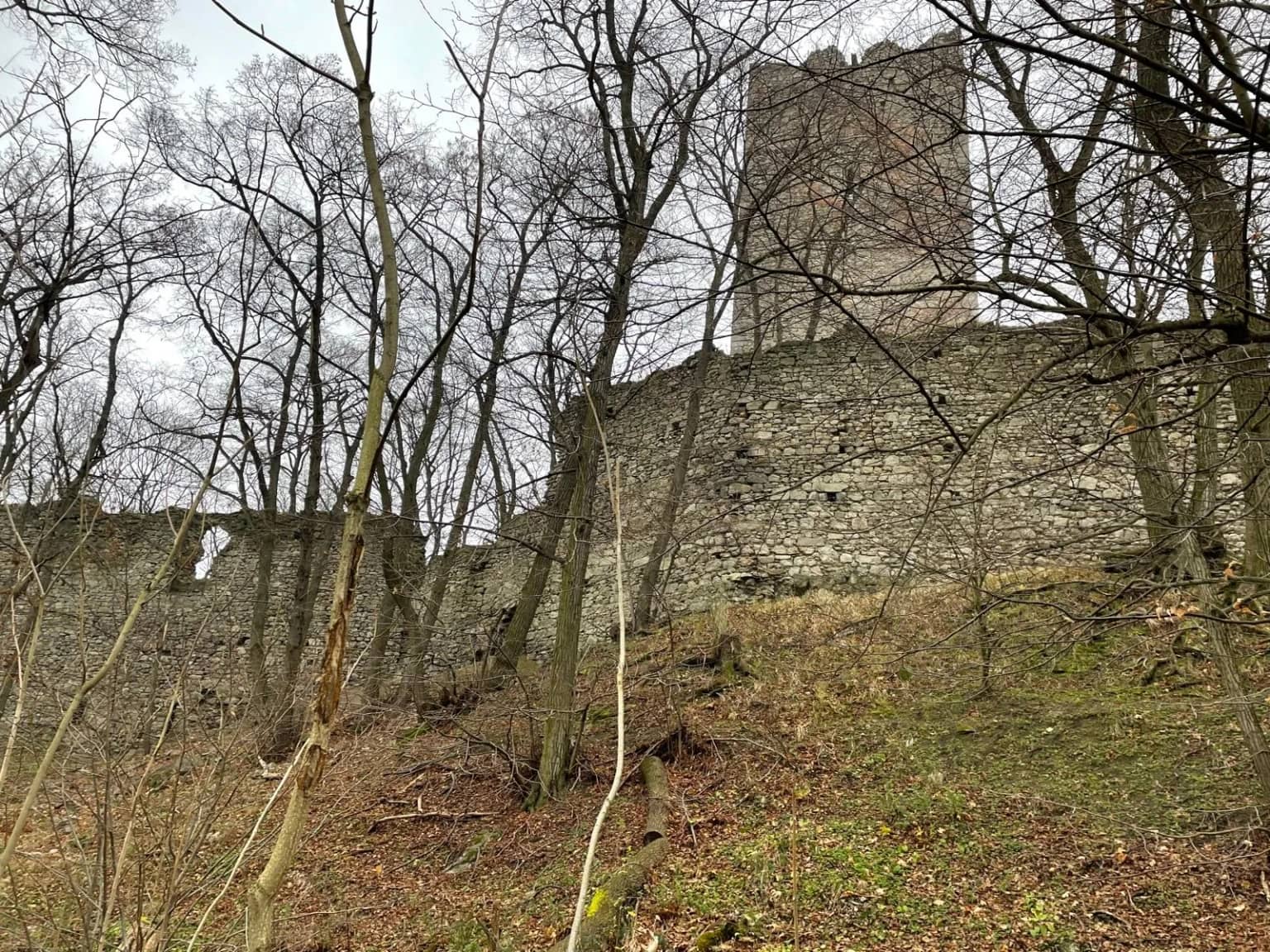 Ruina hradu Pottenburg