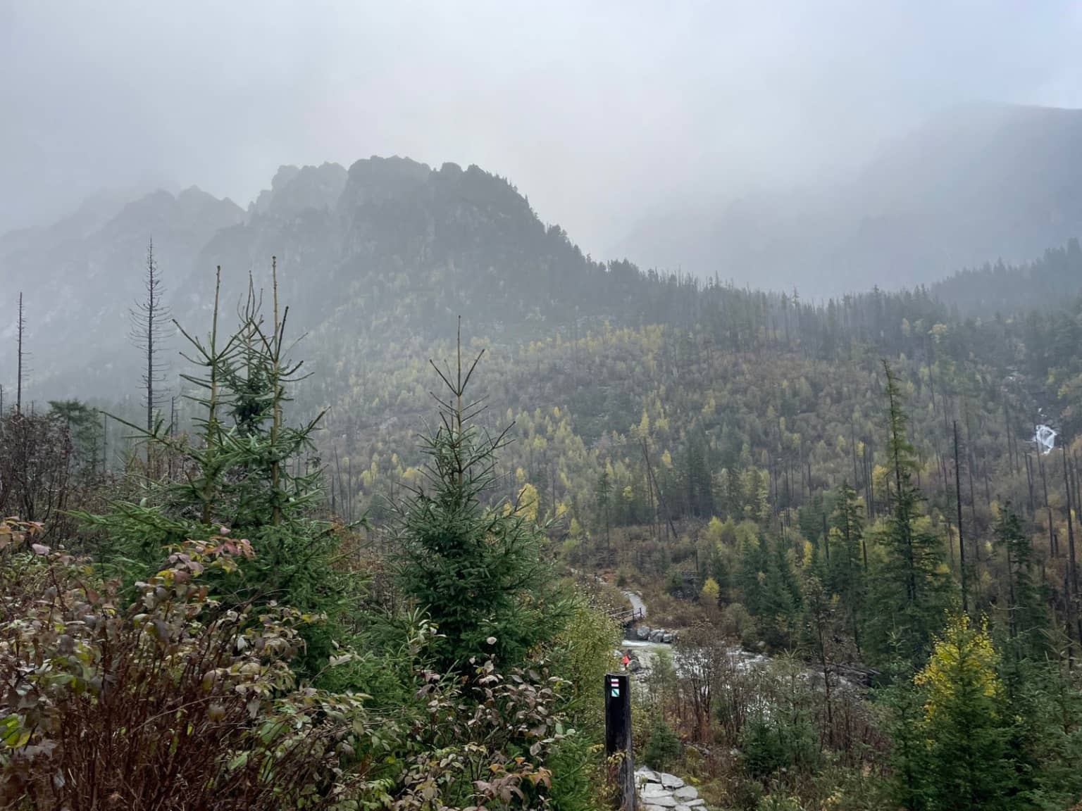 Výhľad z Rainerovej lúky
