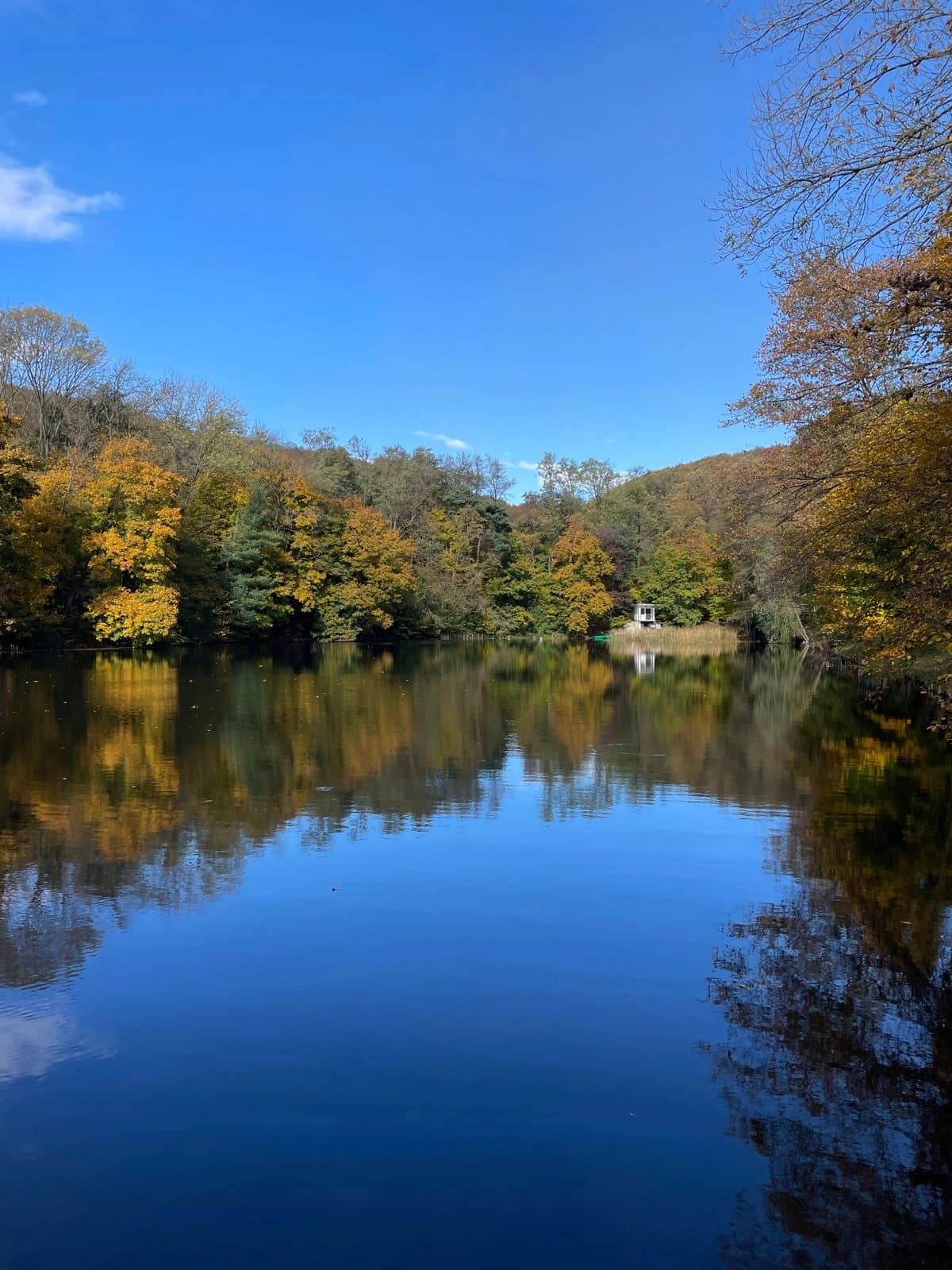 Jesenná príroda okolo štvrtého rybníka