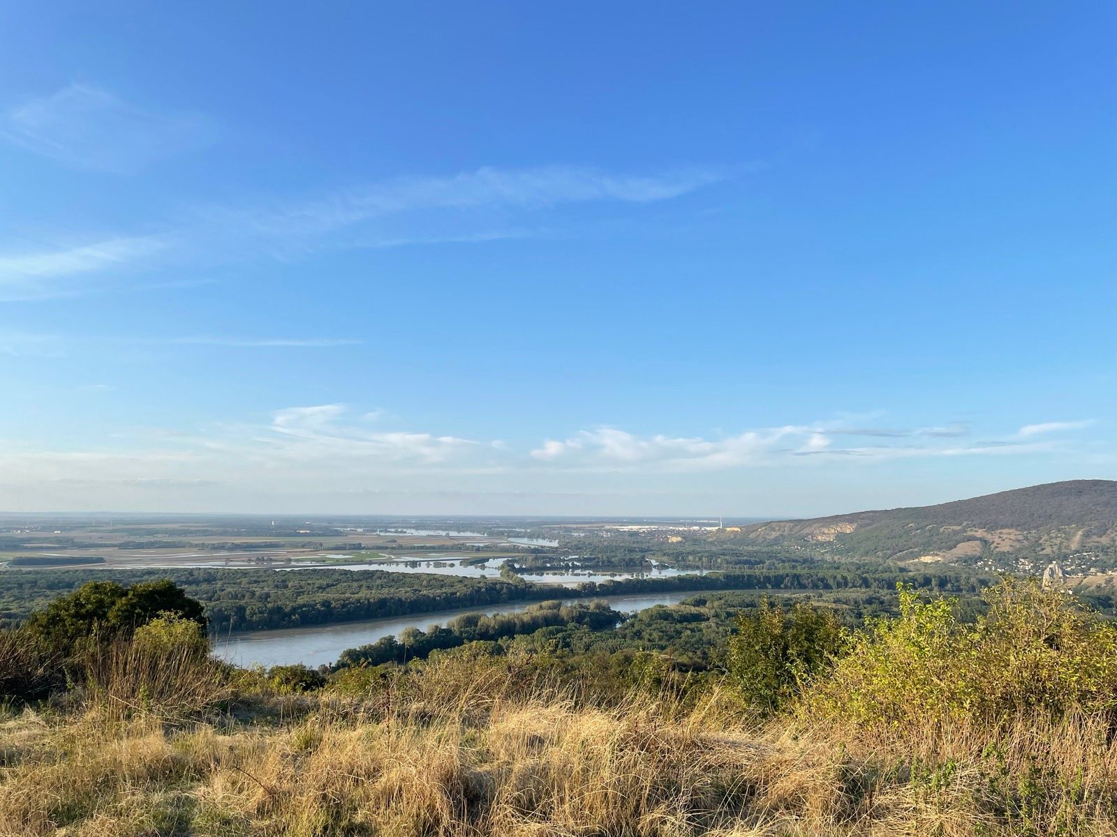 braunsberg 2