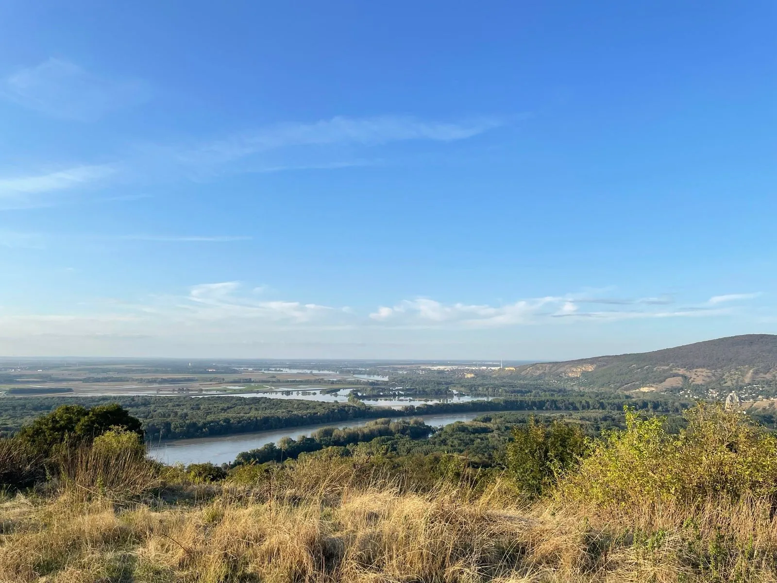 braunsberg 2