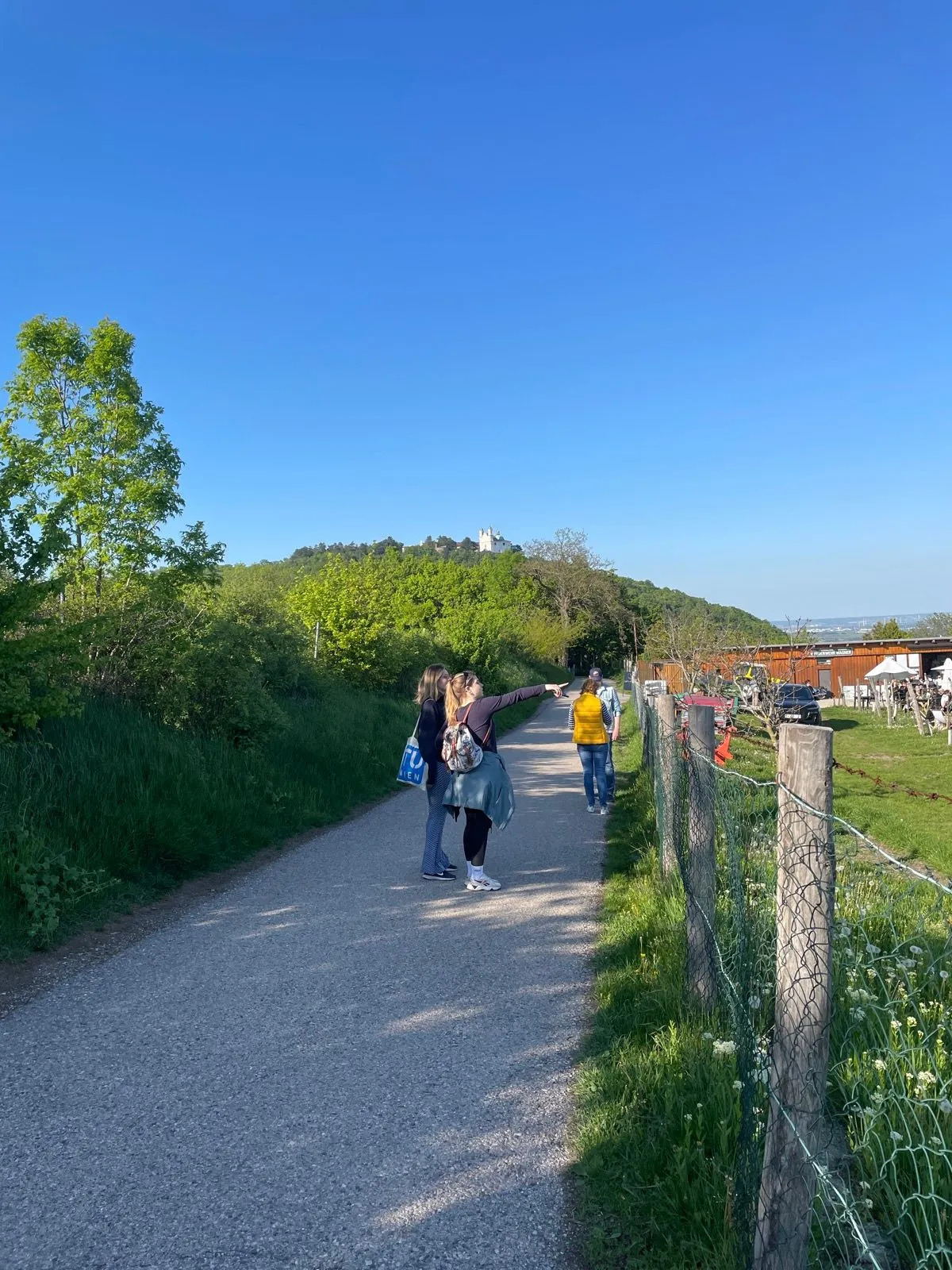 kahlenberg vyhlad 3